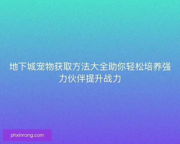 地下城宠物获取方法大全助你轻松培养强力伙伴提升战力