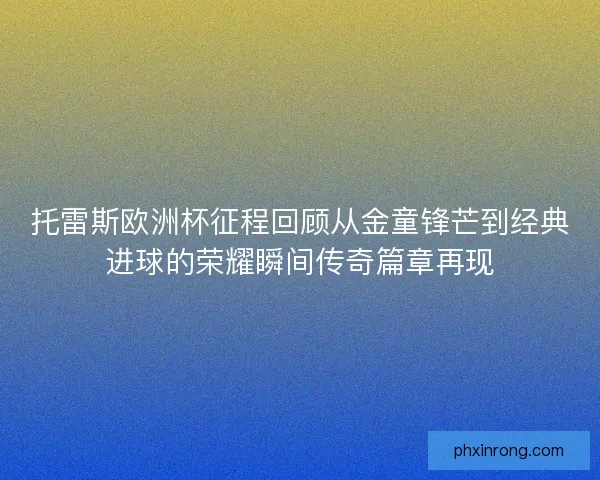 托雷斯欧洲杯征程回顾从金童锋芒到经典进球的荣耀瞬间传奇篇章再现