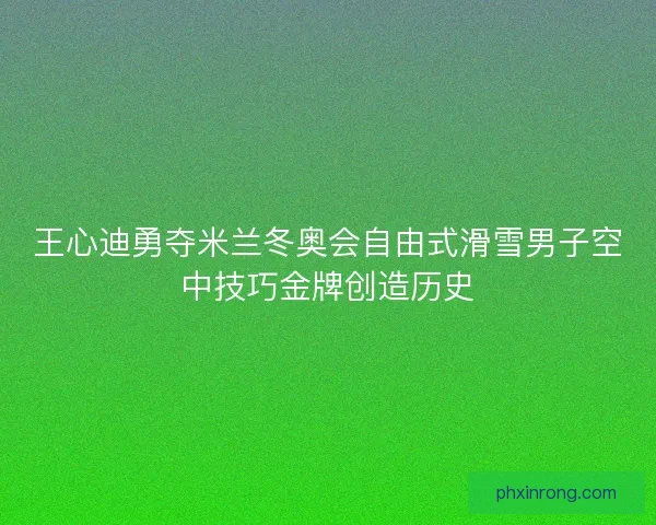 王心迪勇夺米兰冬奥会自由式滑雪男子空中技巧金牌创造历史 王心迪勇夺米兰冬奥会自由式滑雪男子空中技巧金牌创造历史